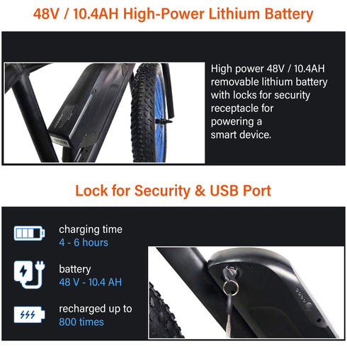 Burch Electric Mountain Bike Eagle
